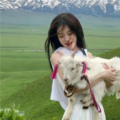 泰德与维纳斯